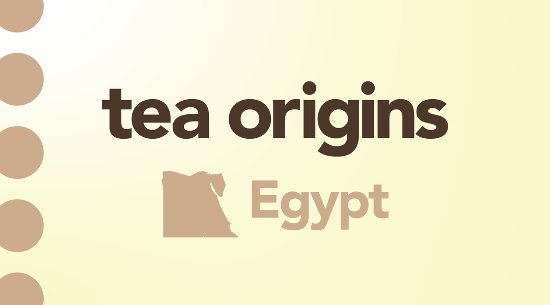 Tea origin graphic focused on the country of Egypt