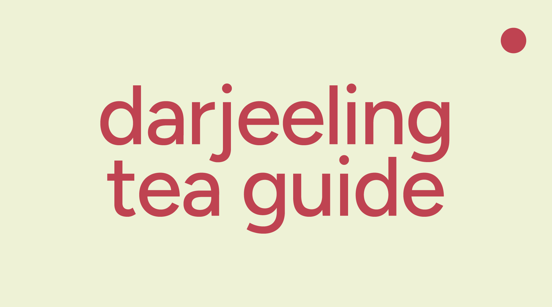 Darjeeling Tea Explained: History, Flushes, and Flavor