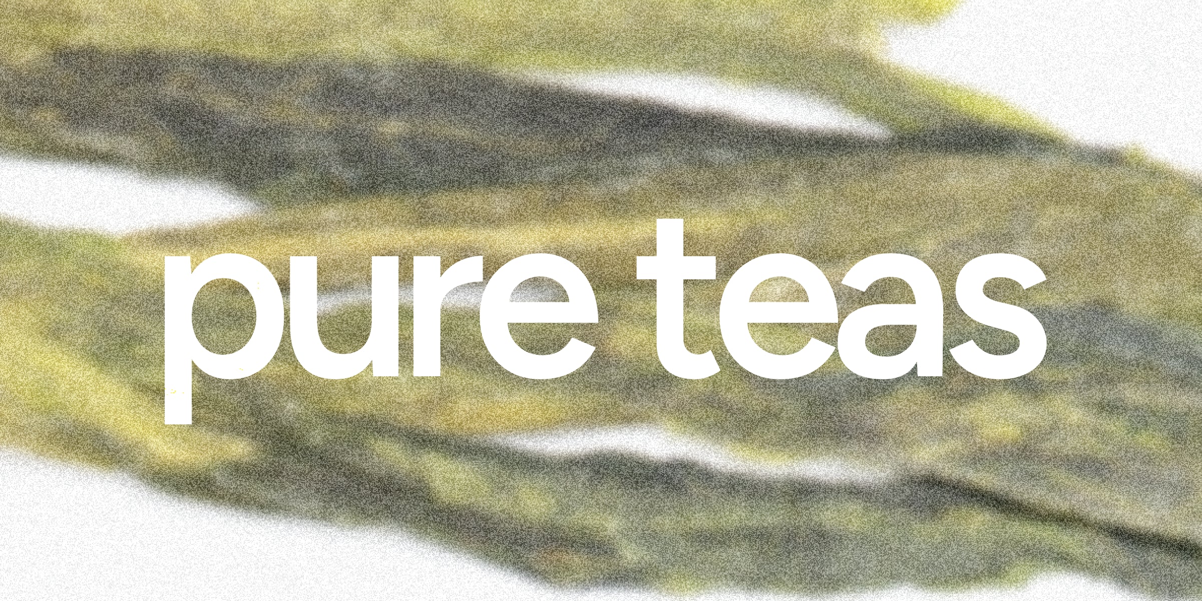 What is a Pure Tea?