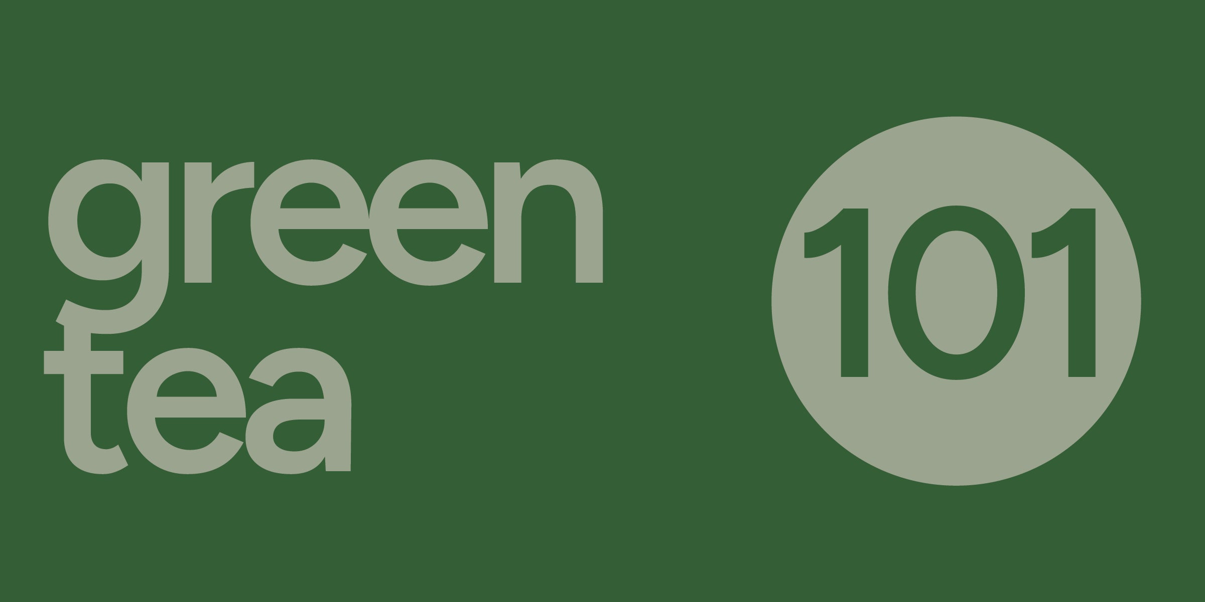 Green Tea 101 | History, Processing, and Health Benefits