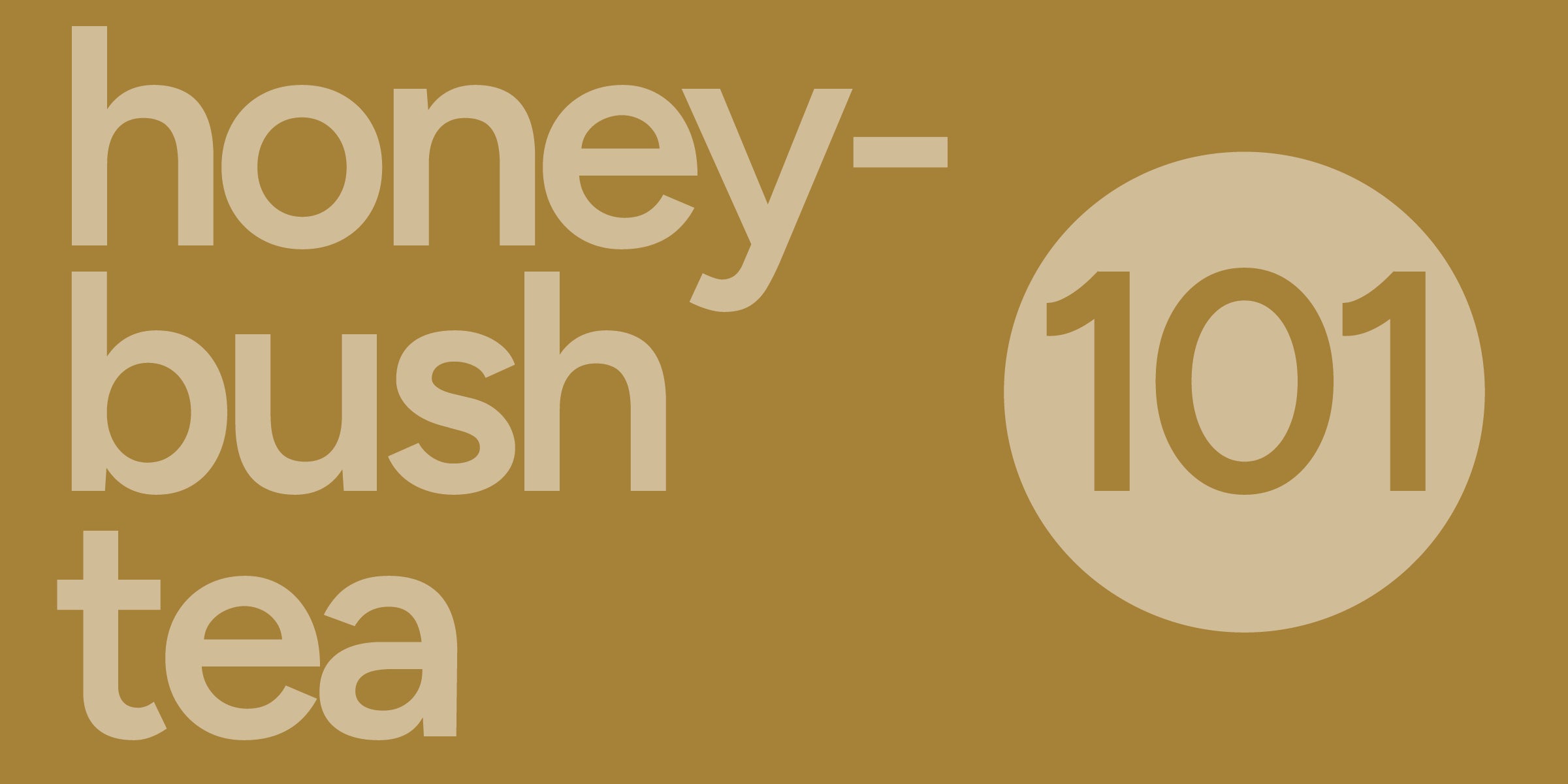 Honeybush Tea 101 | History and Processing