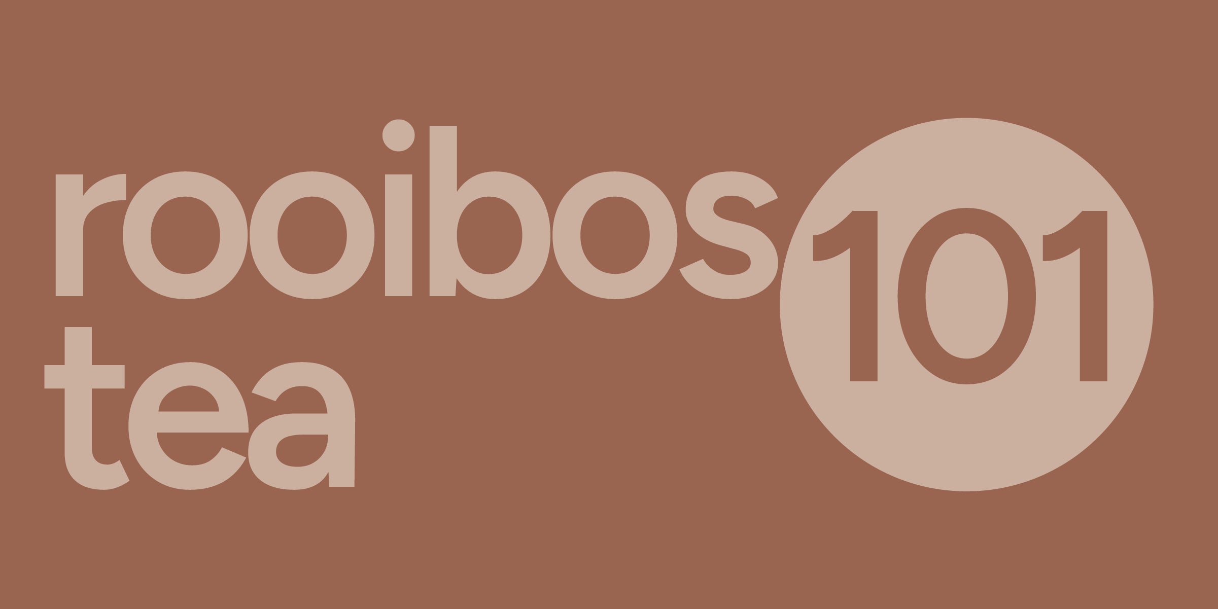 Rooibos Tea 101 | History, Processing, Flavor, and Health Benefits