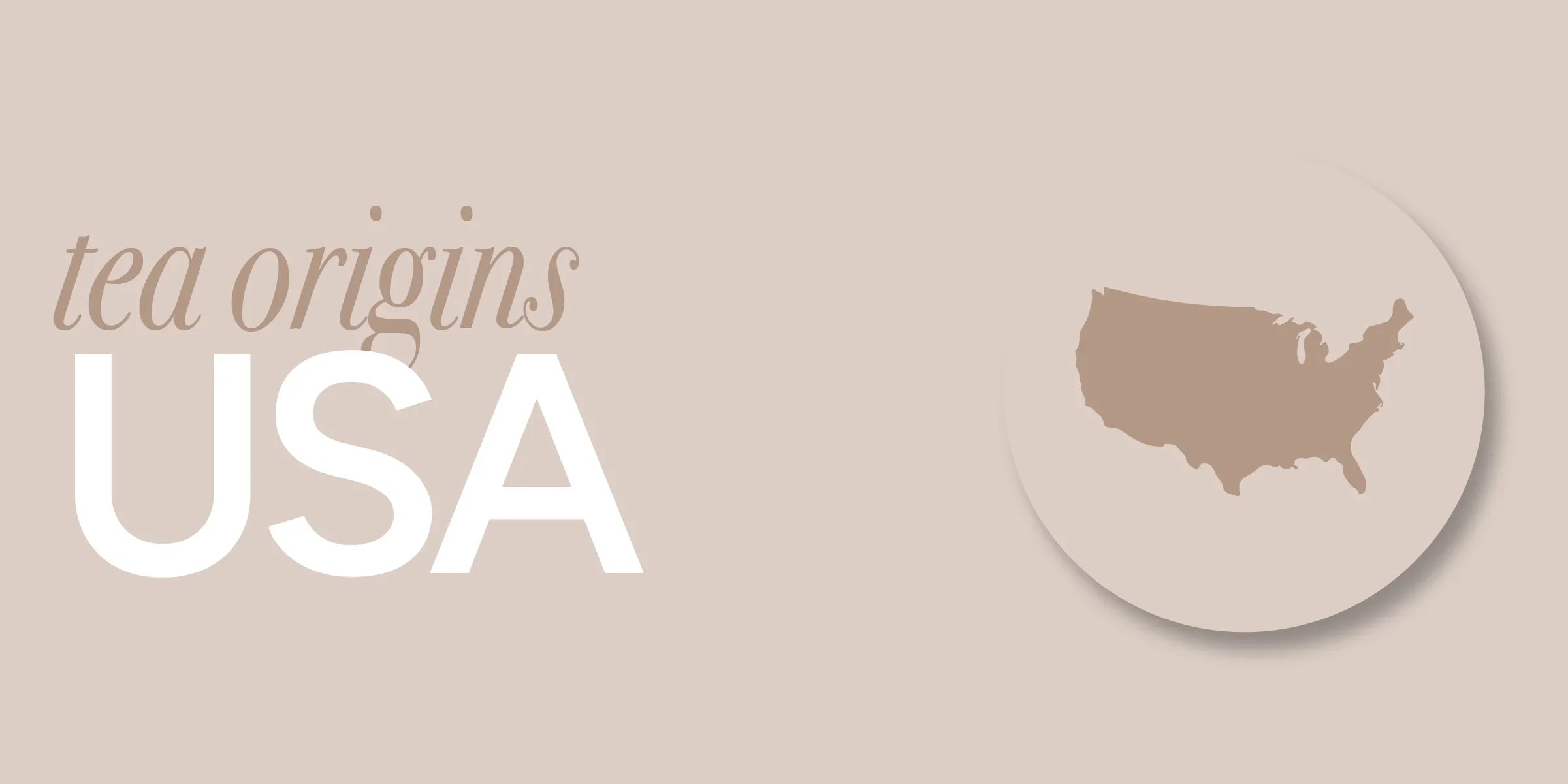 United States | Tea History and the True Meaning of Local Tea