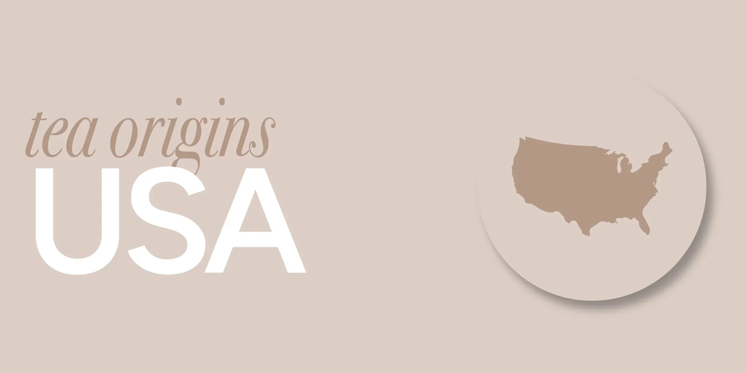 United States | Tea History and the True Meaning of Local Tea