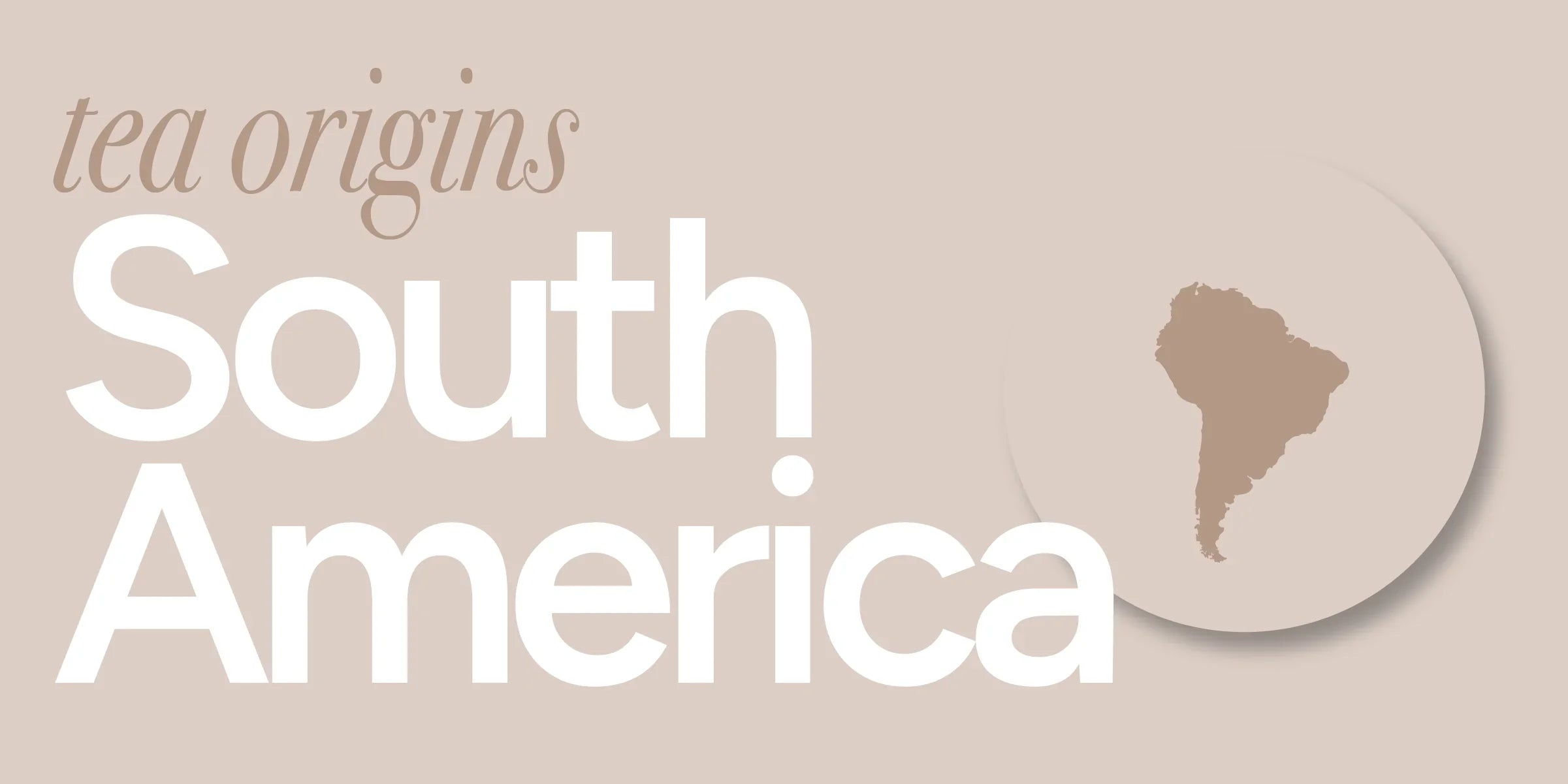 South America | Tea & the Unique Origin of Yerba Maté