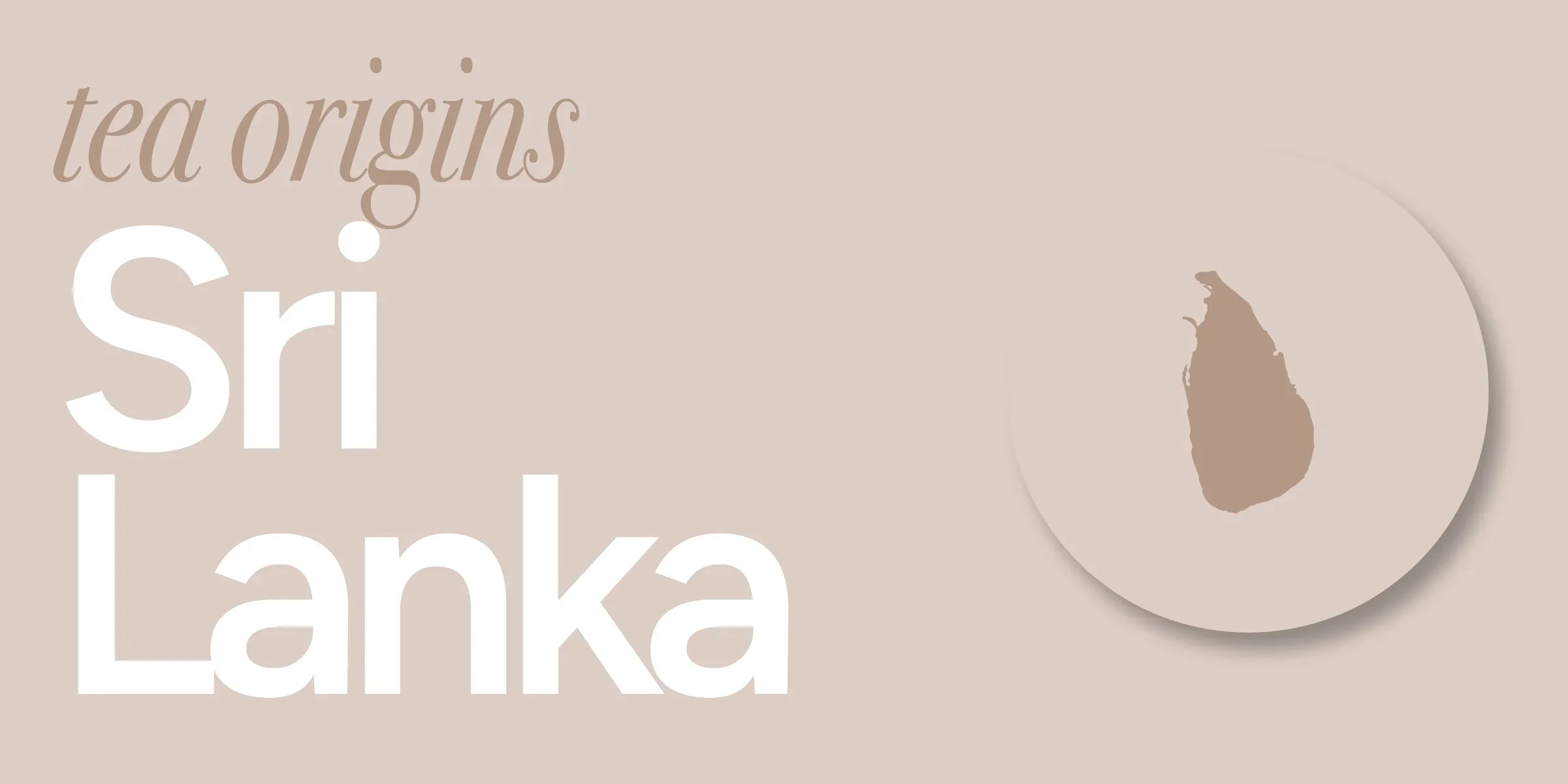 Sri Lanka | Ceylon Black Tea From the Country of Ceylon