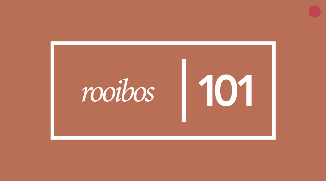 Brown graphic with white text saying "rooibos 101"
