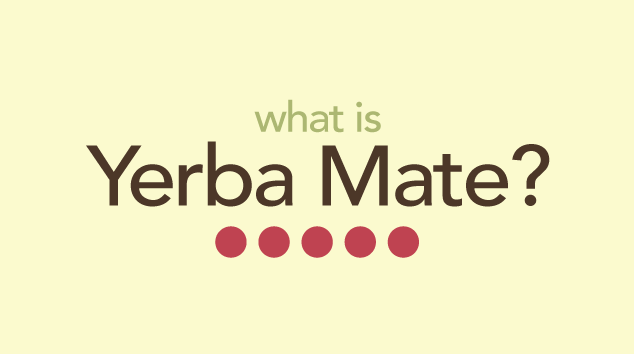 Yerba Mate 101 | History, Processing, Flavor, and Health Benefits