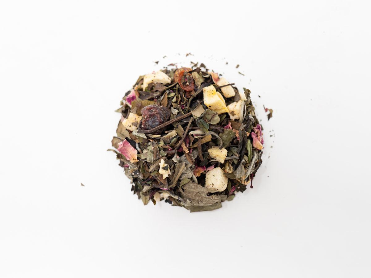 Matt's Favorites | Limited Sampler 5 Pack