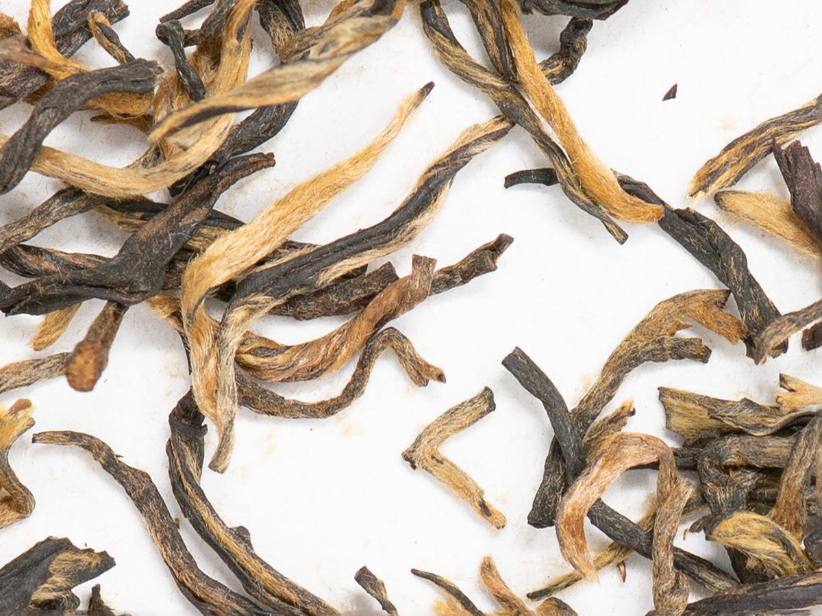 Jin Kong Que (Golden Peacock)