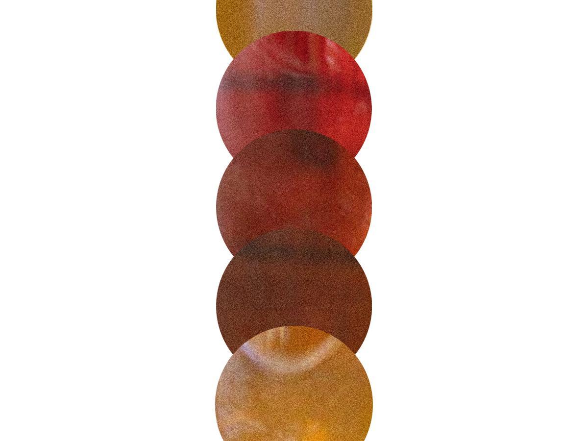 Valentine's Day Favorites | Sampler 5 Pack