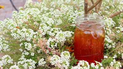 The Dead End Road To Eating Local With Tea | Tea Origins Mystery Revealed