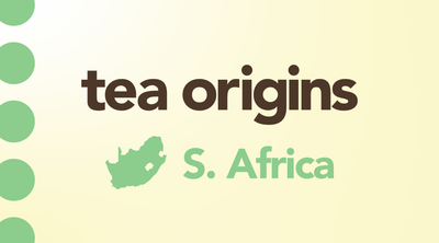 South Africa | An Underdog Region Making an Impact with Their Indigenous Teas