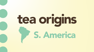 South America | Tea & the Unique Origin of Yerba Maté