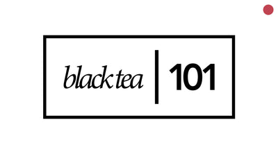 Black Tea 101 | History, Processing, and Health Benefits