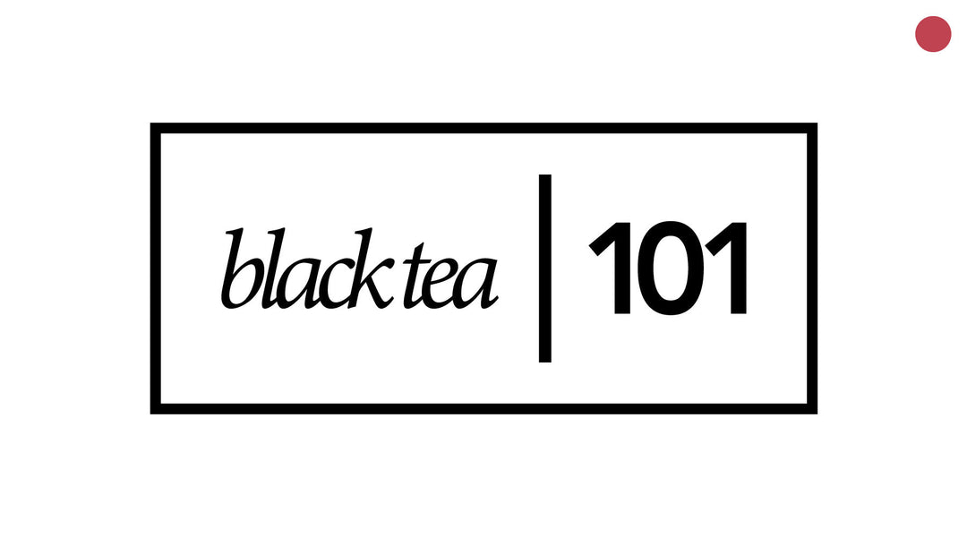 Black Tea 101 | History, Processing, and Health Benefits