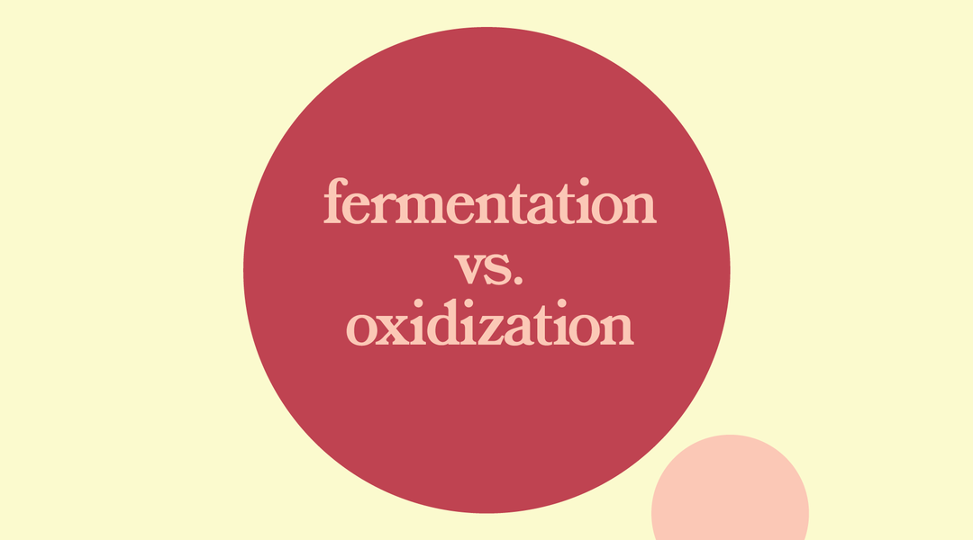 The Difference Between Tea Oxidation & Fermentation