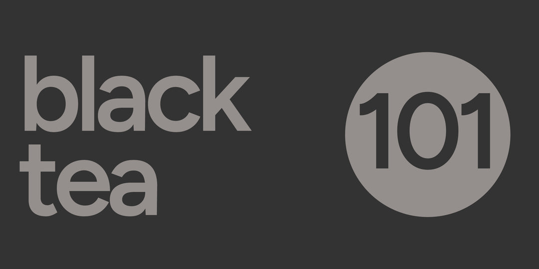 Black Tea 101 | History, Processing, and Health Benefits