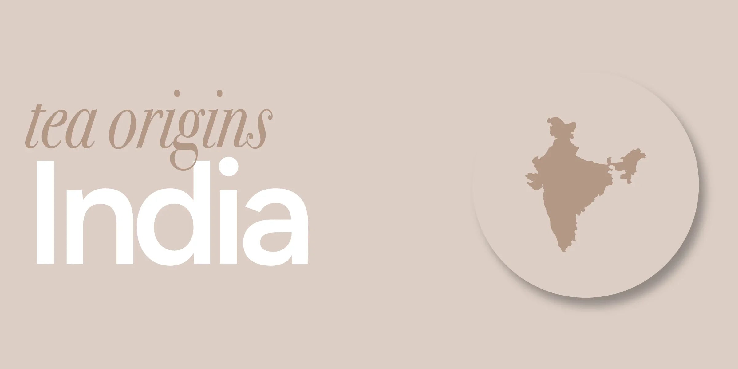 India | A Top Producer of Our Favorite Teas