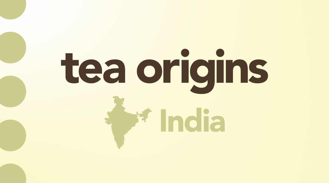 India | A Top Producer of Our Favorite Teas