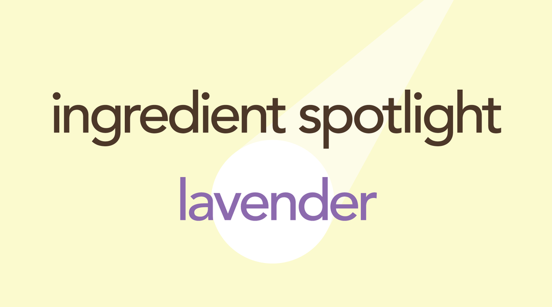 Lavender | An Enchanting Herb with Calming Properties