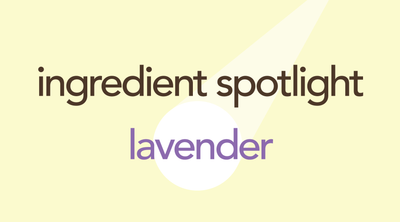 Lavender | An Enchanting Herb with Calming Properties