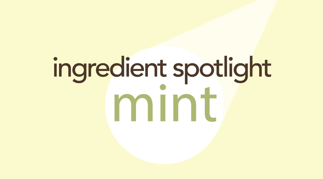 Mint | The World's Most Popular Herb