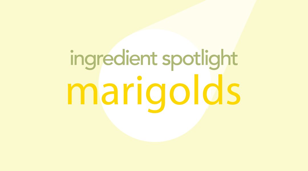 Marigold Flowers | Your Garden's Secret Tea Ingredient
