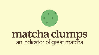 Matcha Clumps | An Indicator of Great Matcha