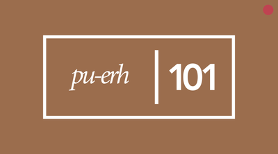 Pu-erh Tea 101 | The History, Uniqueness, and Health Benefits