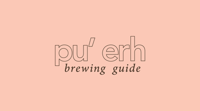 Tea Brewing 101 | Pu-erh Tea