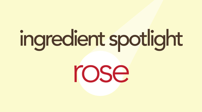 Rose | A Tea Ingredient Love Story