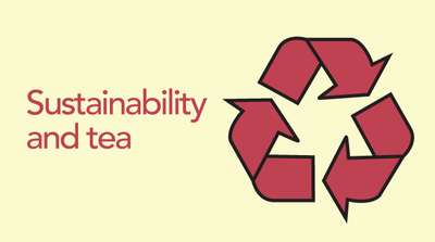 Sustainability in the Tea Industry
