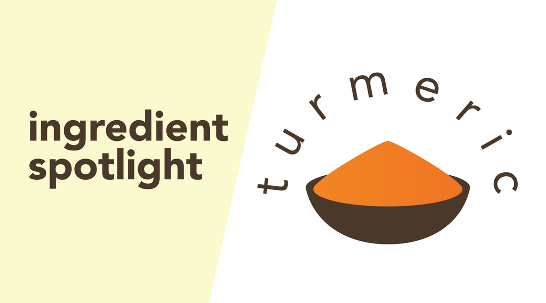 Turmeric | One of Tea’s Boldest and Health Fortifying Ingredients