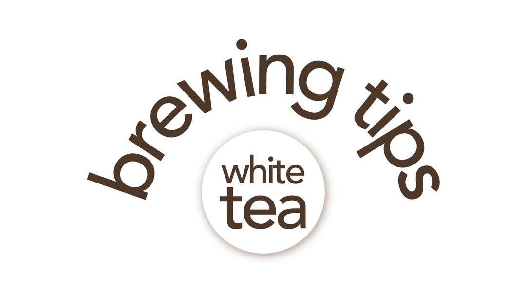 Tea Brewing 101 | White Tea