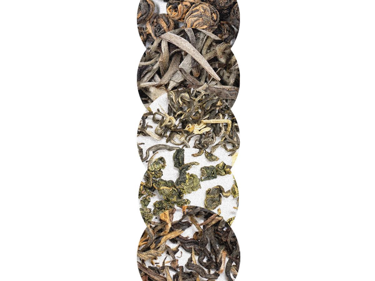 Pure Tea Favorites | Sampler 5 Pack