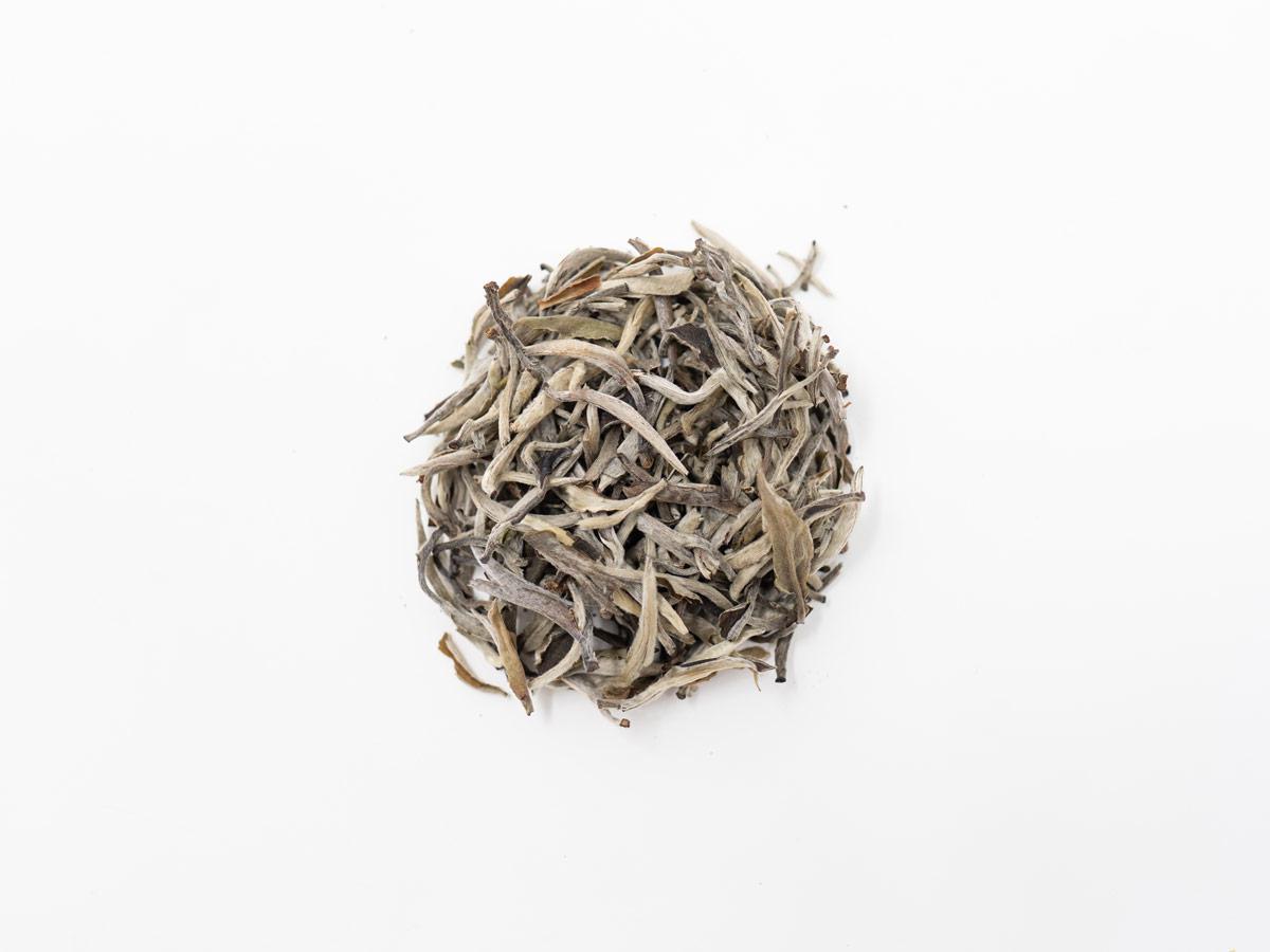 Silver Needle Single Origin Organic