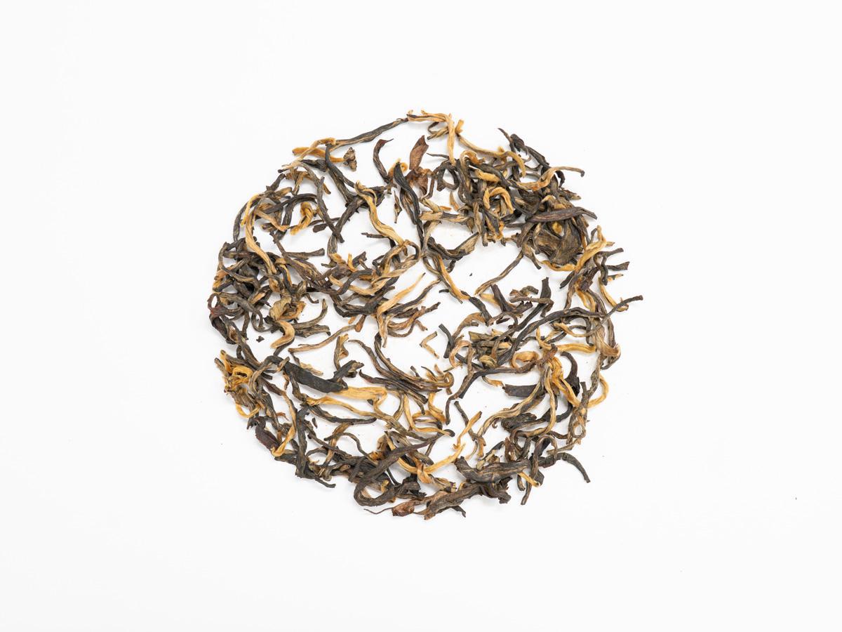 Jin Kong Que (Golden Peacock)