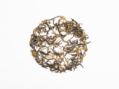 Jin Kong Que (Golden Peacock)