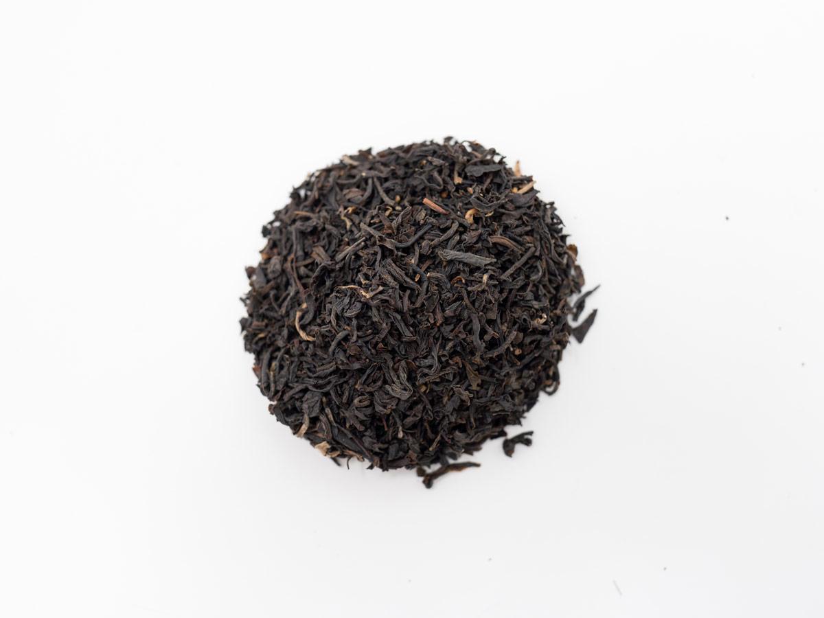 2025 Favorites | Sampler 5 Pack