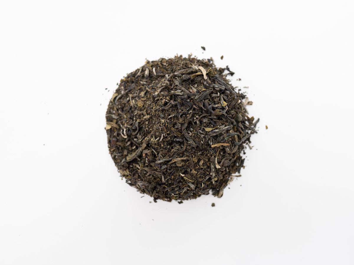 Green Tea Favorites | Sampler 5 Pack