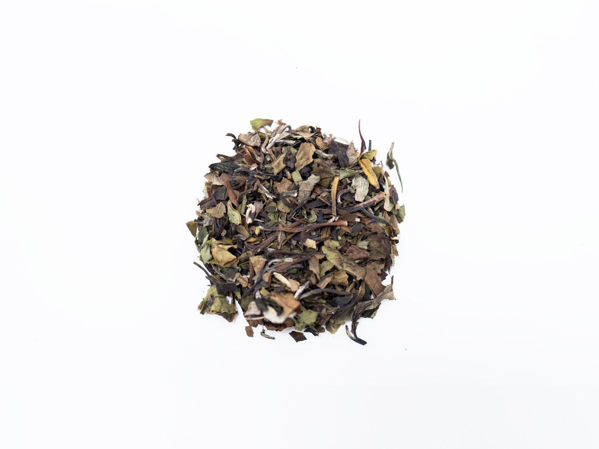Loose Leaf Blueberry White Tea - Hackberry Tea