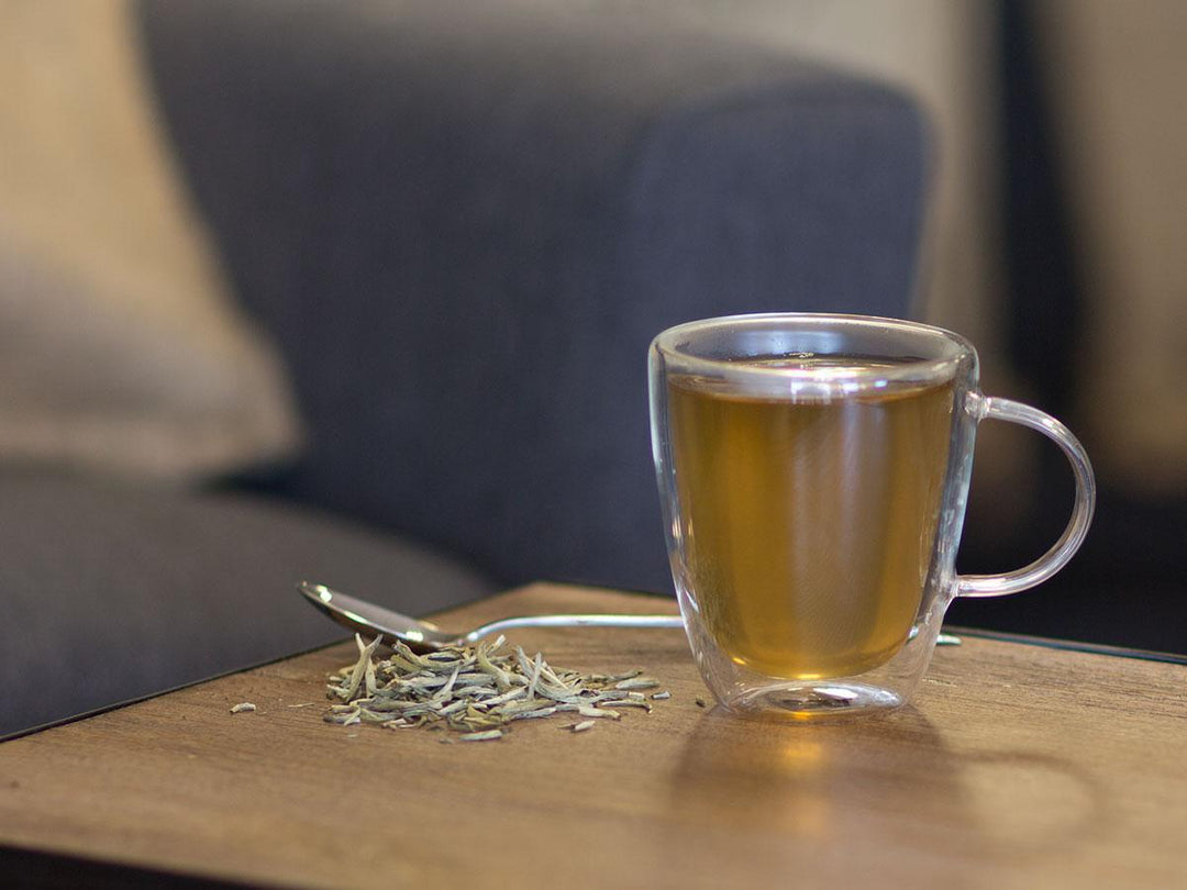 Silver Needle Single Origin Organic Tea Brewed as Hot Tea from Hackberry Tea