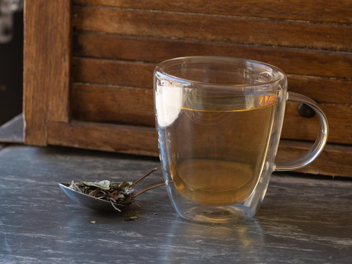 PomeDragon White brewed hot - Hackberry Tea